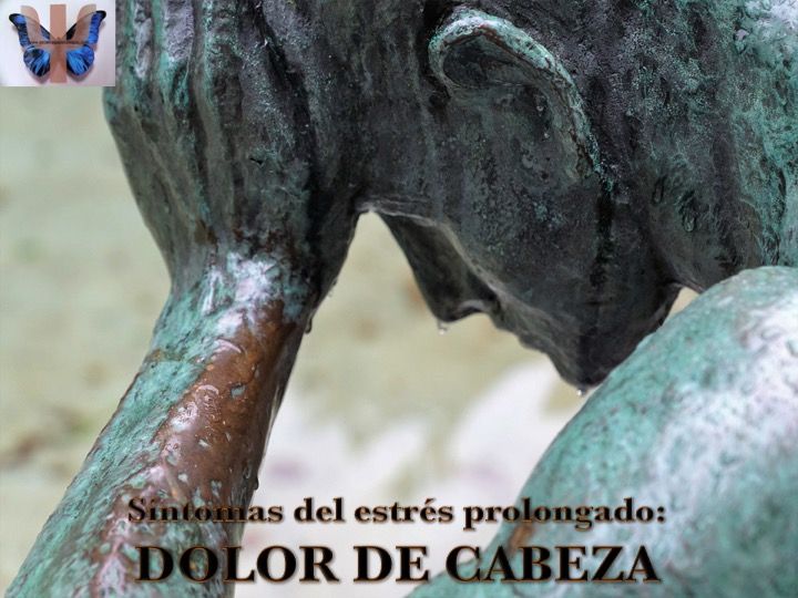 Sintoma1 - cabeza
