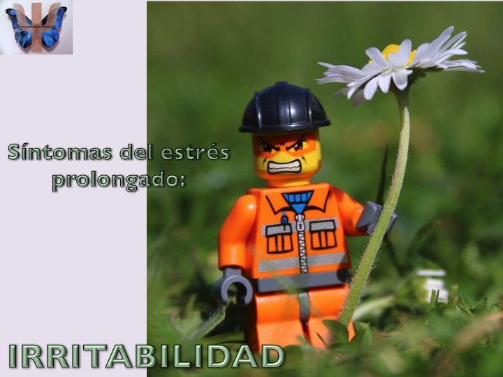 Sintoma5 - ira
