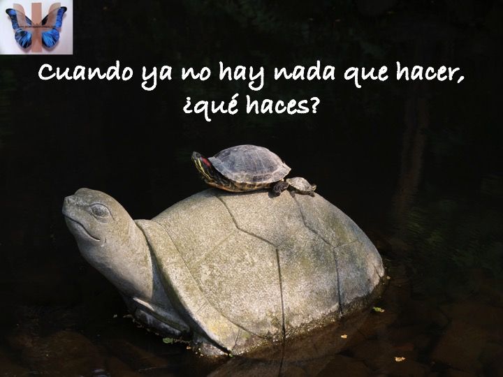 Mindfulness18