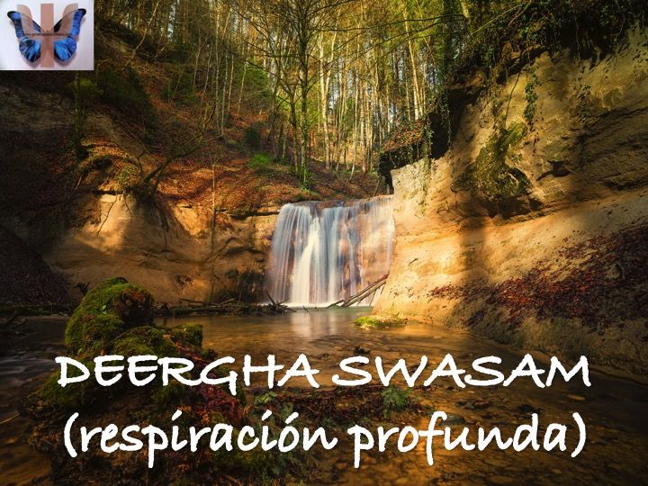 Respiración1