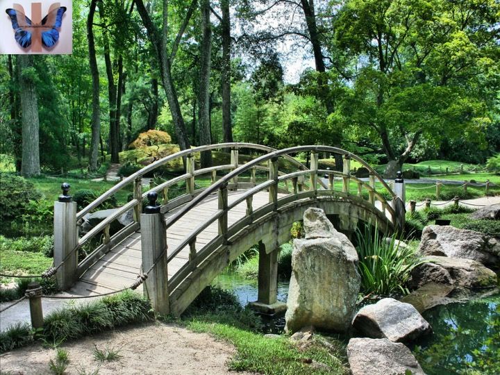 Mindfulness menos estres3